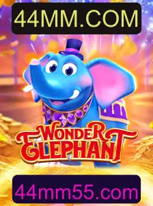 WonderElephant: Uma Nova Aventura no Mundo dos Jogos